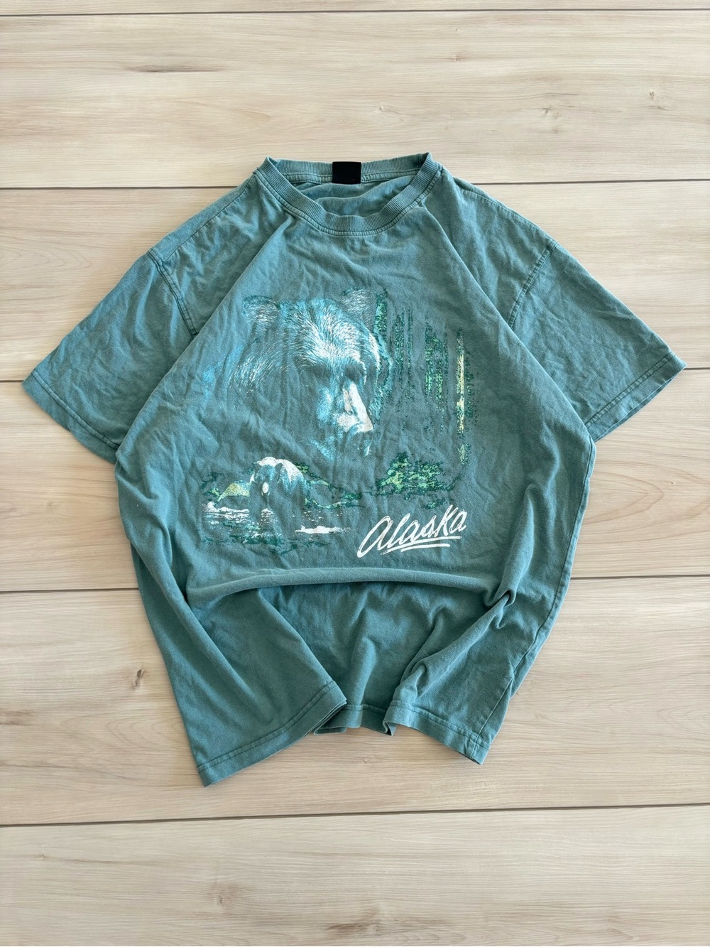American Vintage 90s Teal Alaska Bear Outdoors nature scene Men’s Graphic Tee